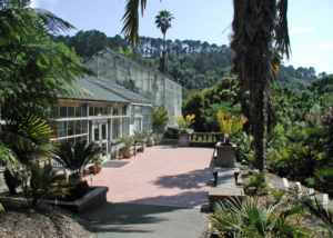 UC Botanical Garden
